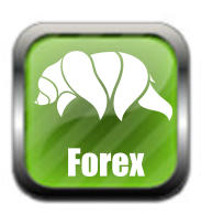 Forex